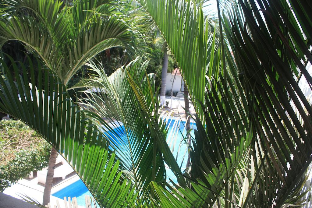 Hotel Olinala Diamante Acapulco Cameră foto
